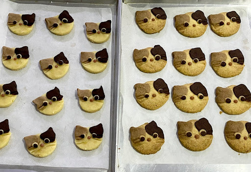 Kitty Cat Shortbread Recipe